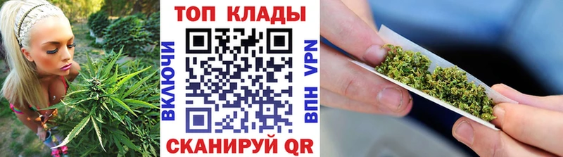 Купить наркотики Долгопрудный ГАШИШ  Codein  АМФ  Псилоцибиновые грибы  Мефедрон  Каннабис  Cocaine 