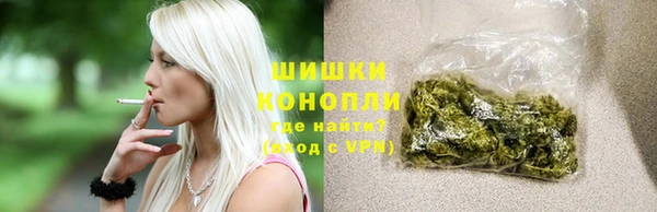 гидра Корсаков