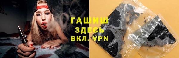 гидра Корсаков