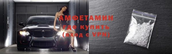 сатива Коряжма