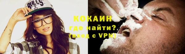 гидра Корсаков