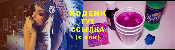 гидра Корсаков