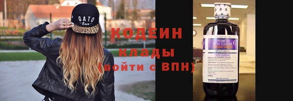 гидра Корсаков