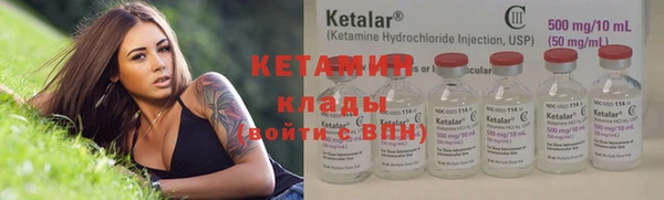 сатива Коряжма