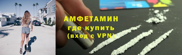сатива Коряжма