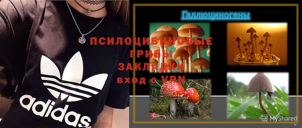 гидра Корсаков