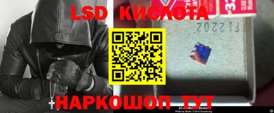 прущие грибы Берёзовский