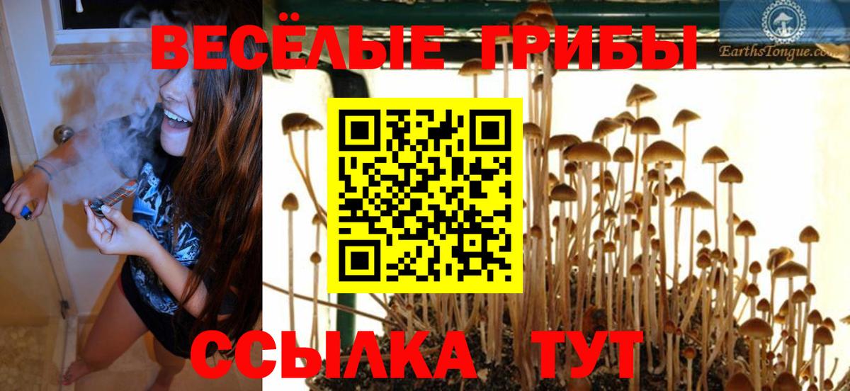 Псилоцибиновые грибы мухоморы  Долгопрудный 