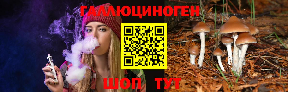 Псилоцибиновые грибы ЛСД Долгопрудный