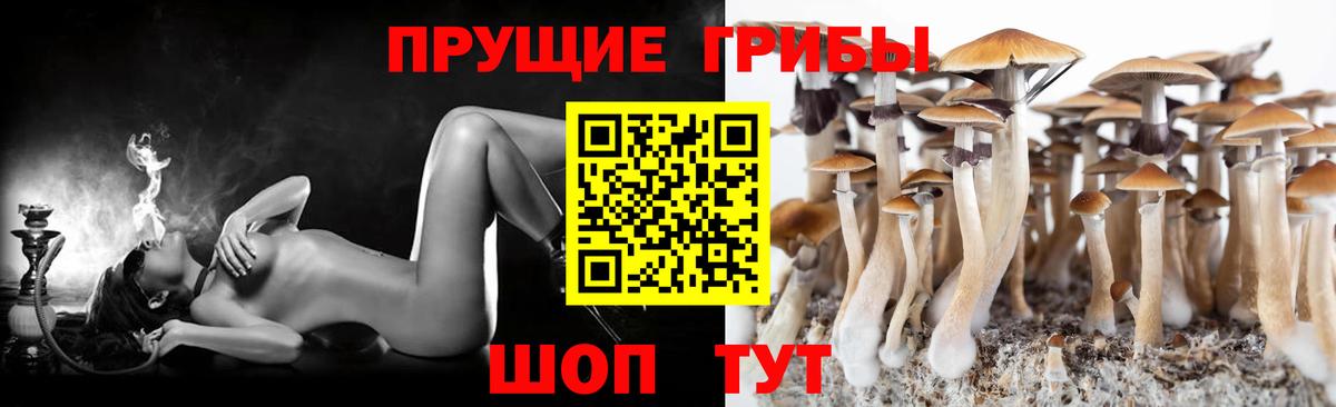 Псилоцибиновые грибы мицелий  Вход с VPN  Долгопрудный 
